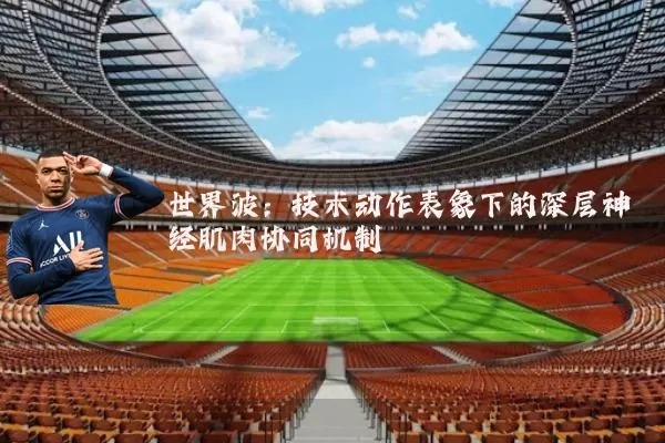 世界波：技术动作表象下的深层神经肌肉协同机制